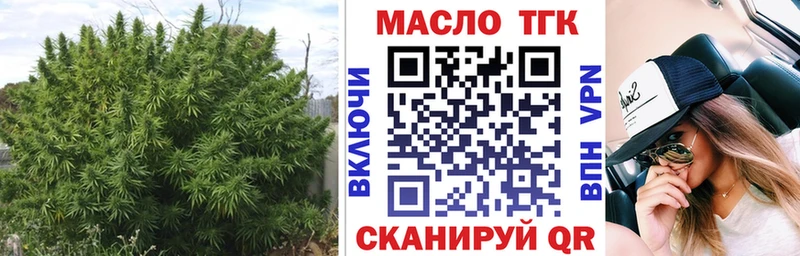 Купить закладки  Алейск  ТГК вейп 
